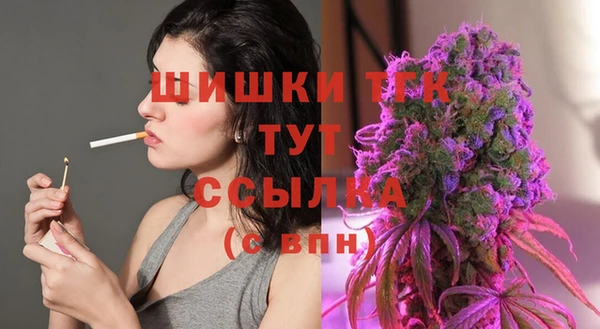 дмт Армянск