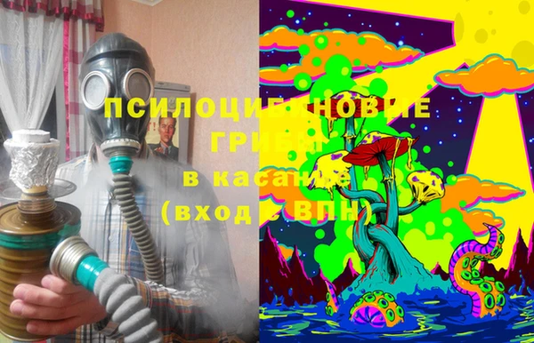 герыч Арсеньев