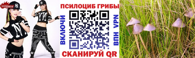 наркошоп  Волгоград  ОМГ ОМГ зеркало  Псилоцибиновые грибы ЛСД 