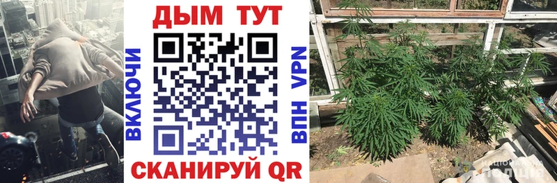 Бошки Шишки SATIVA & INDICA  хочу наркоту  Волгоград 